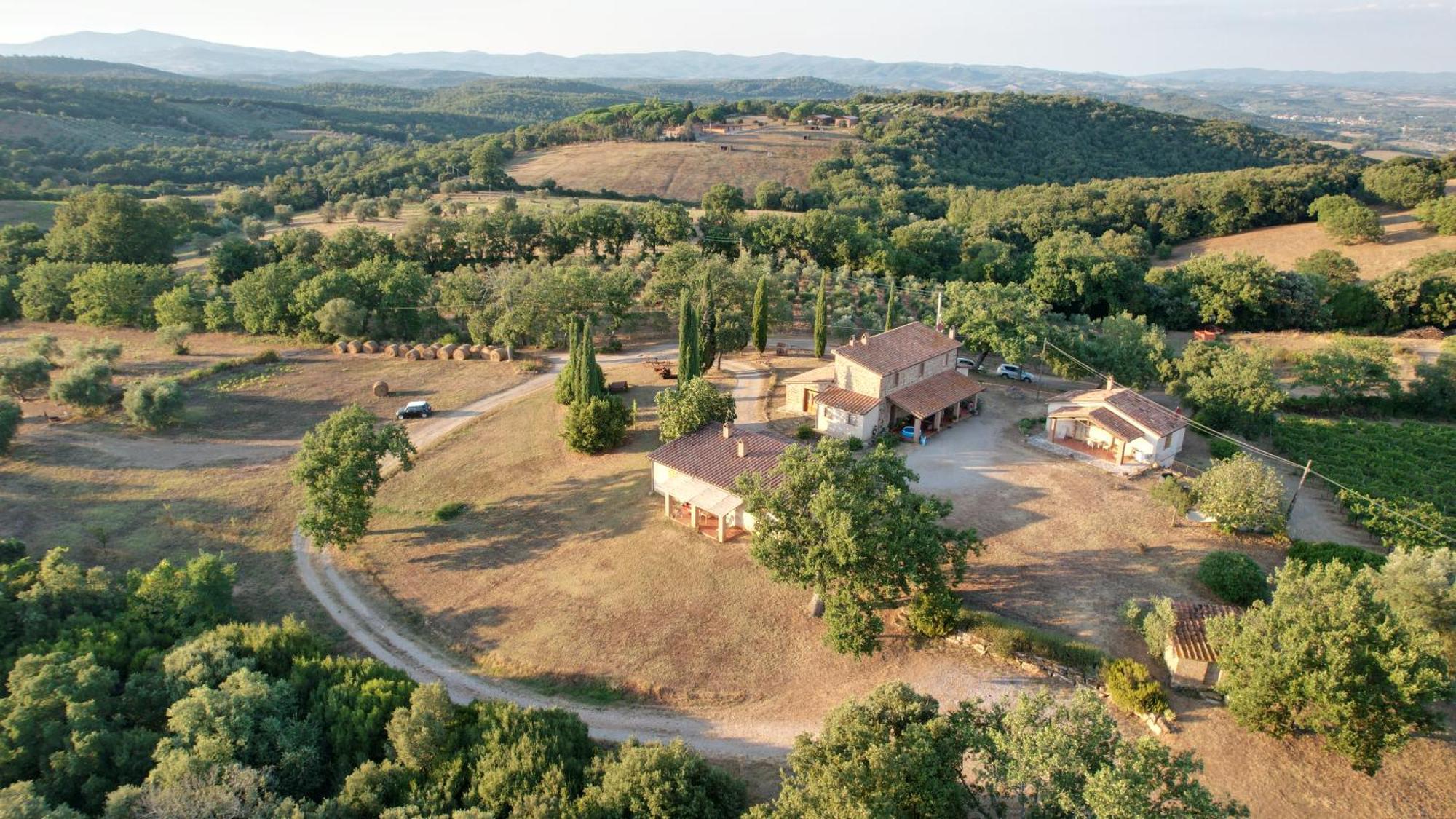 Agriturismo Belvedere Di Pierini E Brugi Campagnatico Bagian luar foto