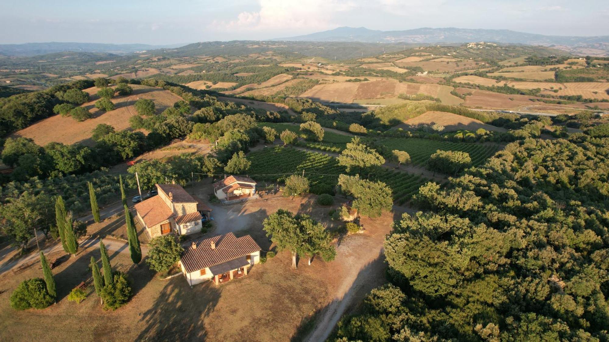 Agriturismo Belvedere Di Pierini E Brugi Campagnatico Bagian luar foto