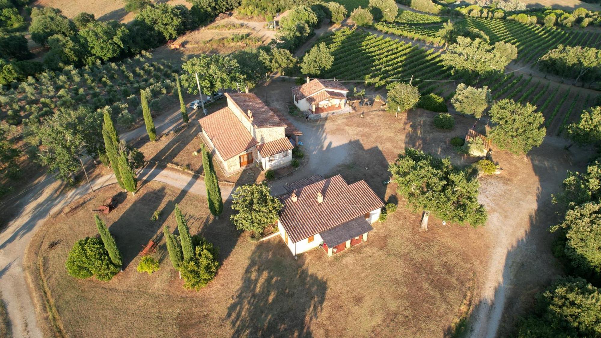 Agriturismo Belvedere Di Pierini E Brugi Campagnatico Bagian luar foto