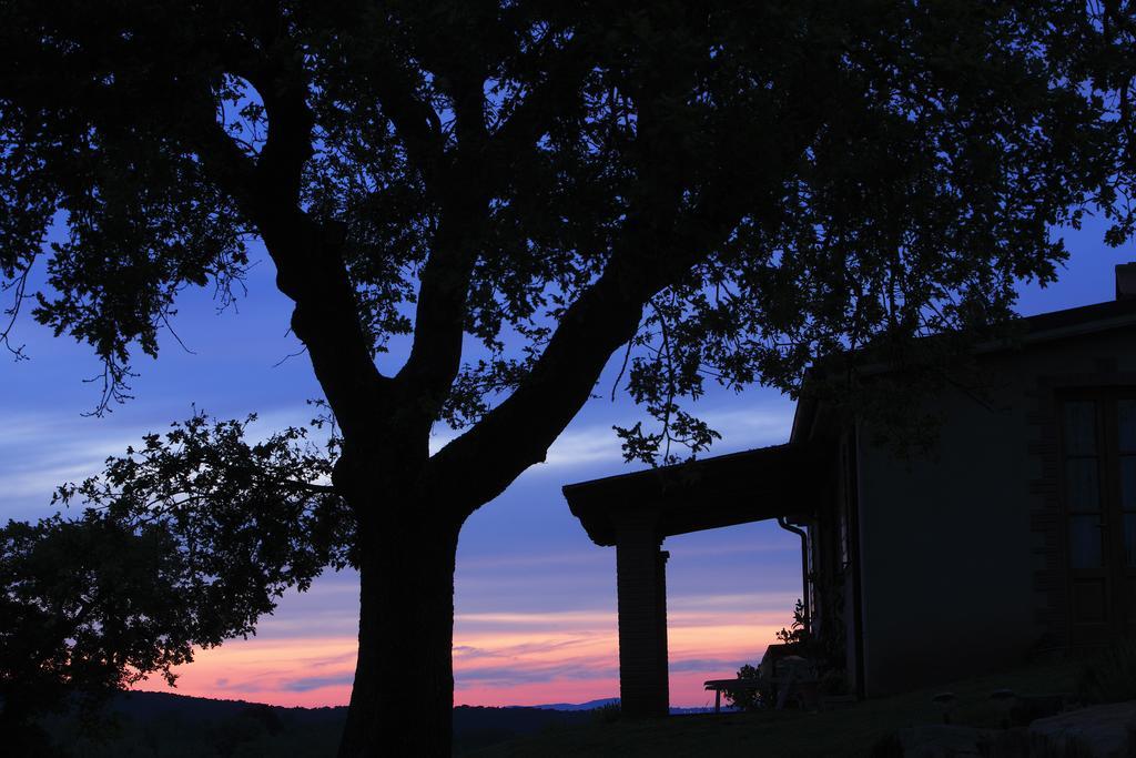 Agriturismo Belvedere Di Pierini E Brugi Campagnatico Ruang foto