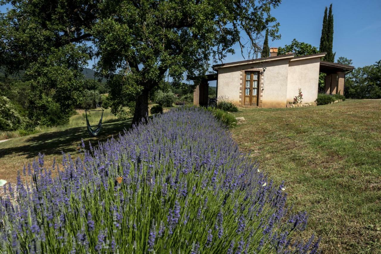 Agriturismo Belvedere Di Pierini E Brugi Campagnatico Bagian luar foto